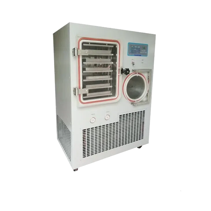 Лабораторная лиофильная сушилка ERSTEVAK EV-DF100C-S